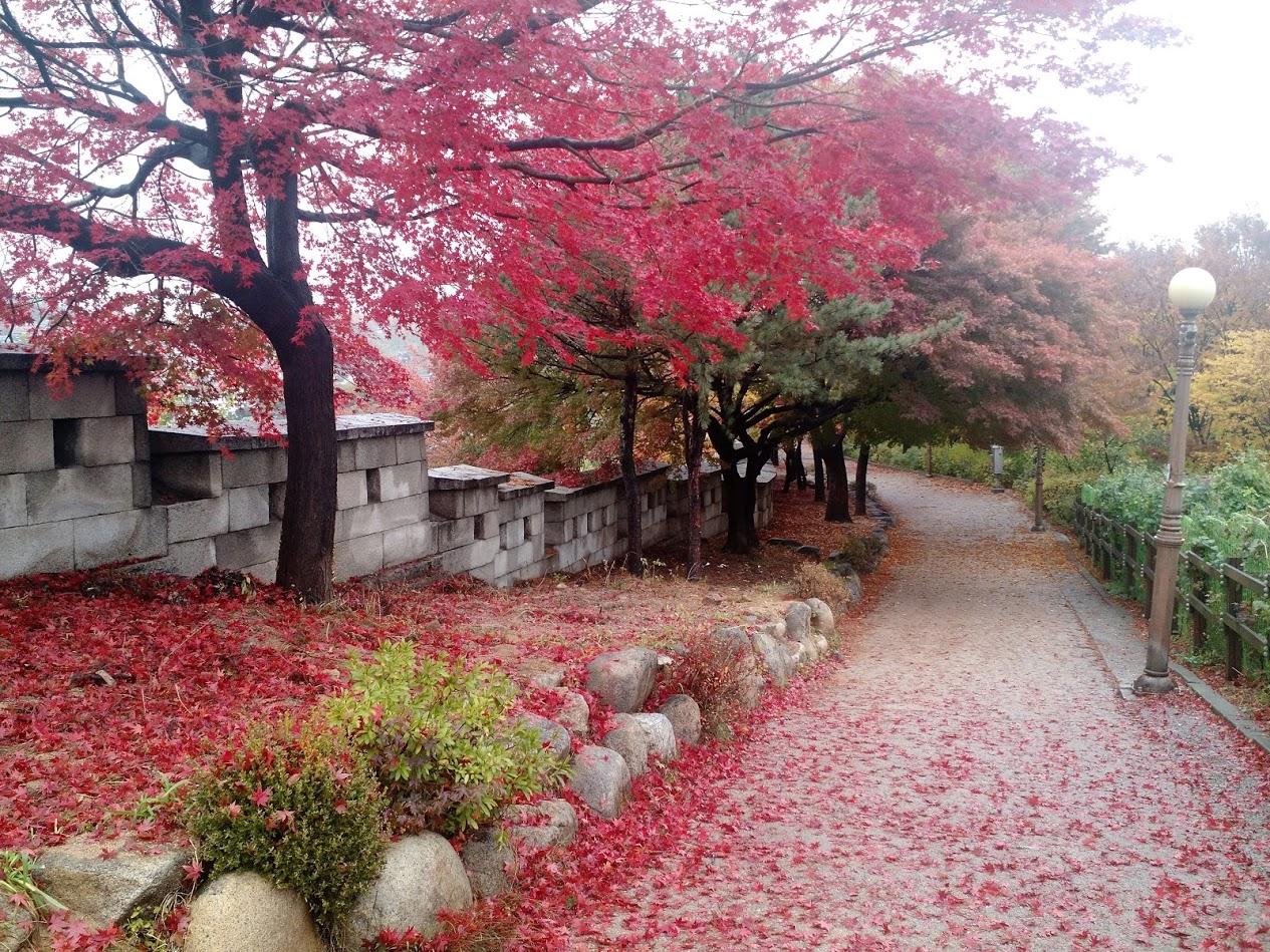 SEOUL - NAMI - EVERLAND